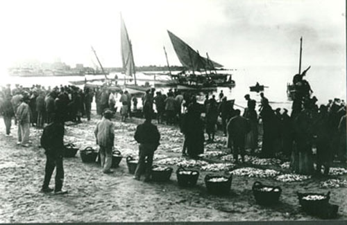 En la imagen se ve una fila de cestos de pescado para la subasta.