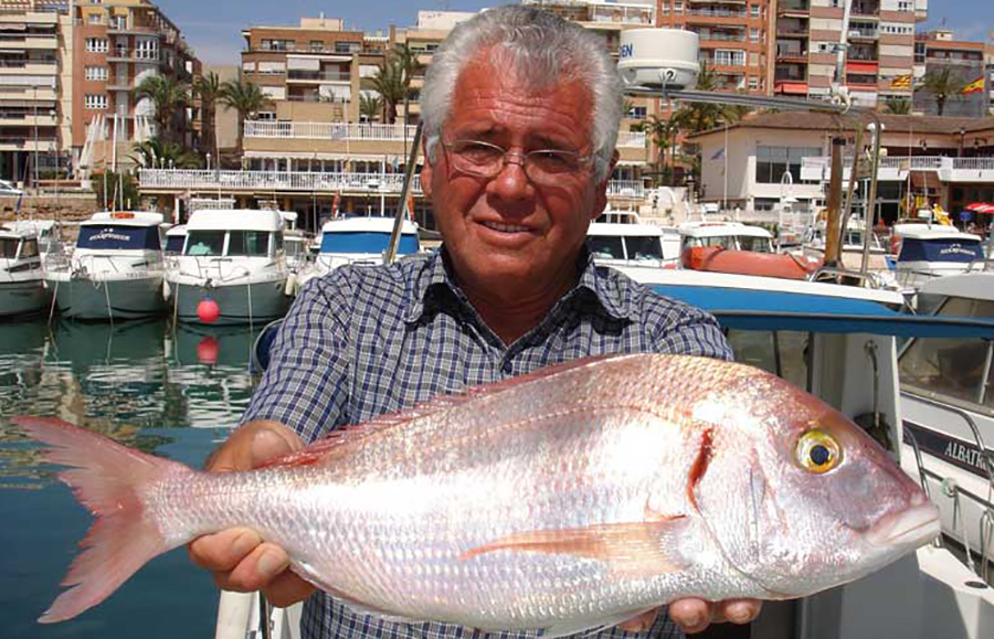 Clasificación de especies de peces más comunes de aguas españolas